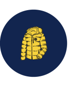 Giacche e piumini donna